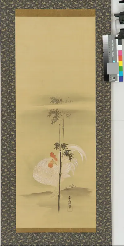 Cock and bamboo
