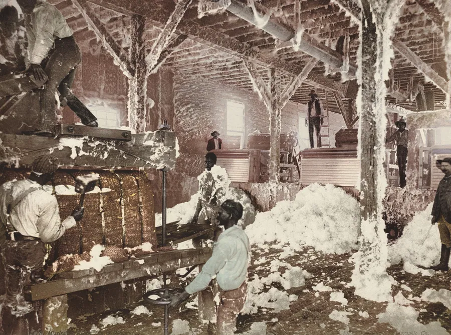 Mississippi Cotton Gin at Dahomey by American 19th Century
