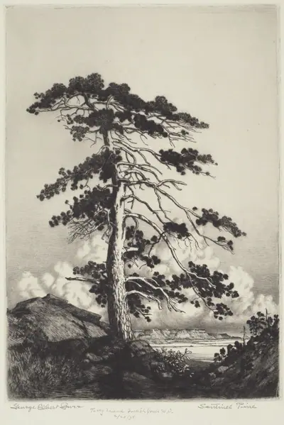 Sentinel Pine