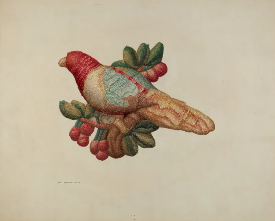 Woolen Parrot by Wellington Blewett