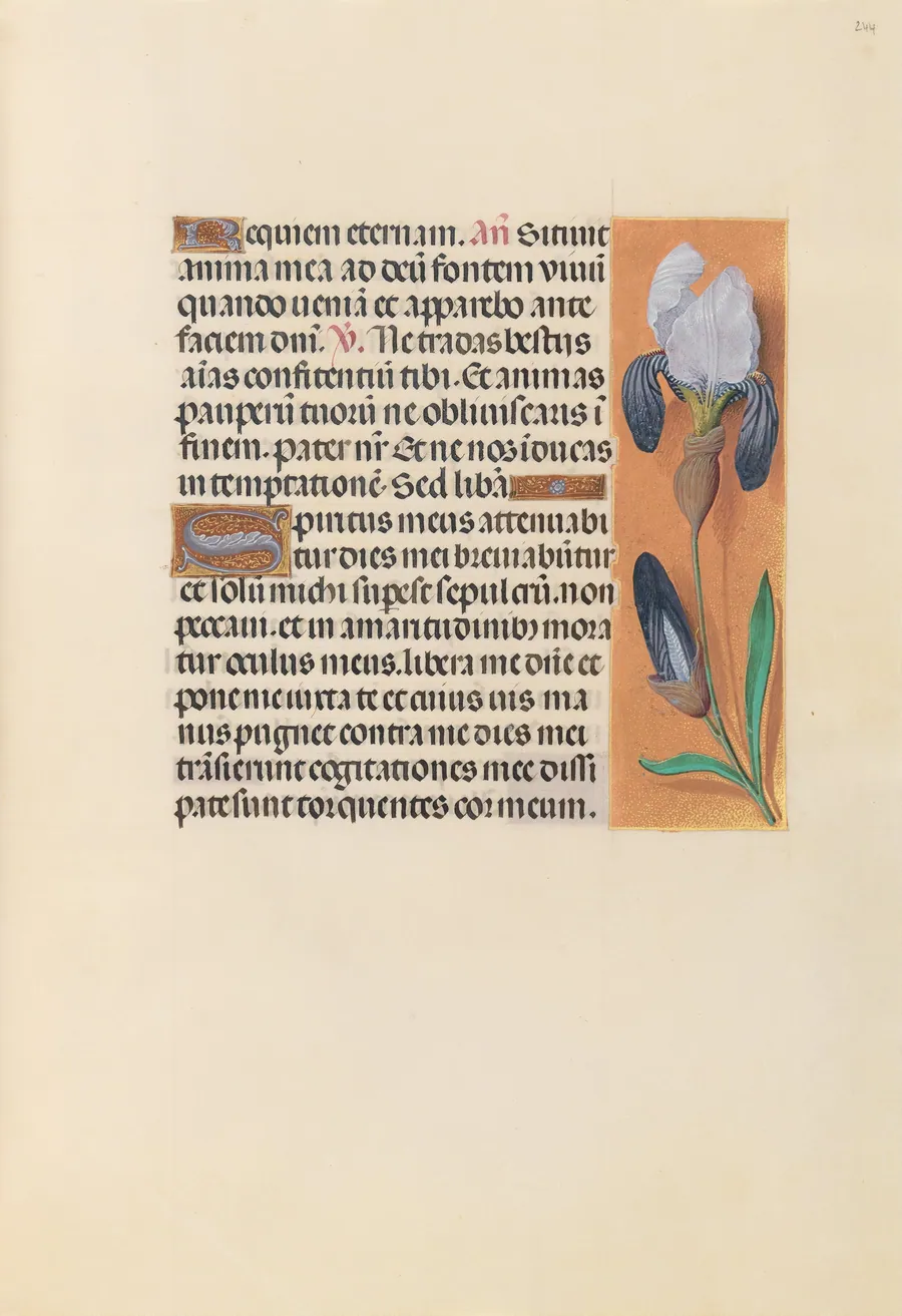 Hours of Queen Isabella the Catholic, Queen of Spain:  Fol. 244r by Master of the First Prayerbook of Maximillian