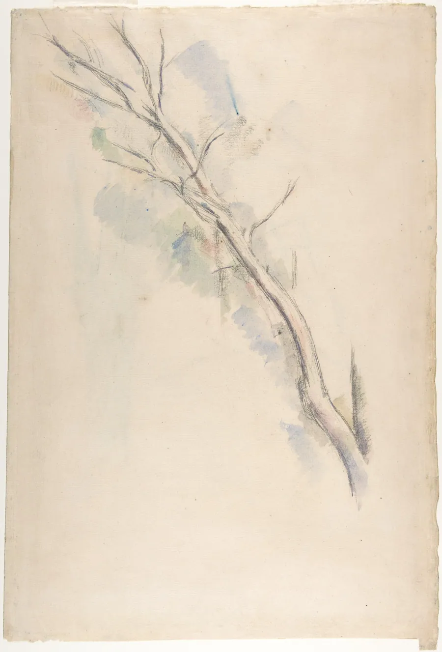 Studies of a tree (recto and verso) by Paul Cézanne