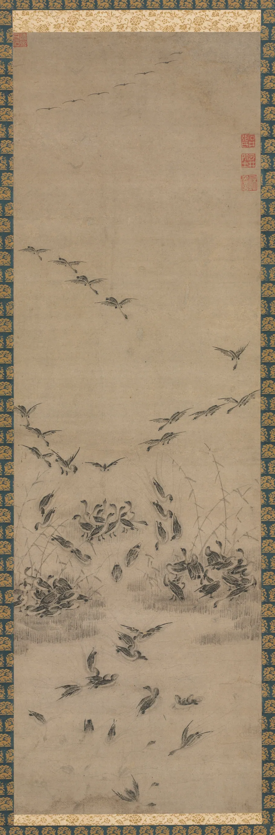 Geese Returning Home