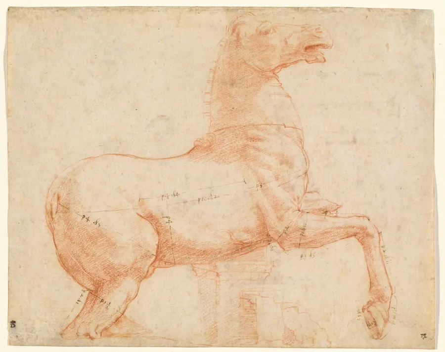 A Marble Horse on the Quirinal Hill [recto] by Raphael