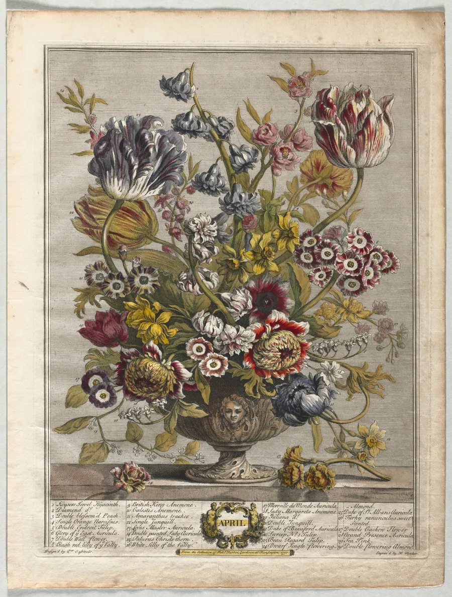 Twelve Months of Flowers:  April by Henry Fletcher