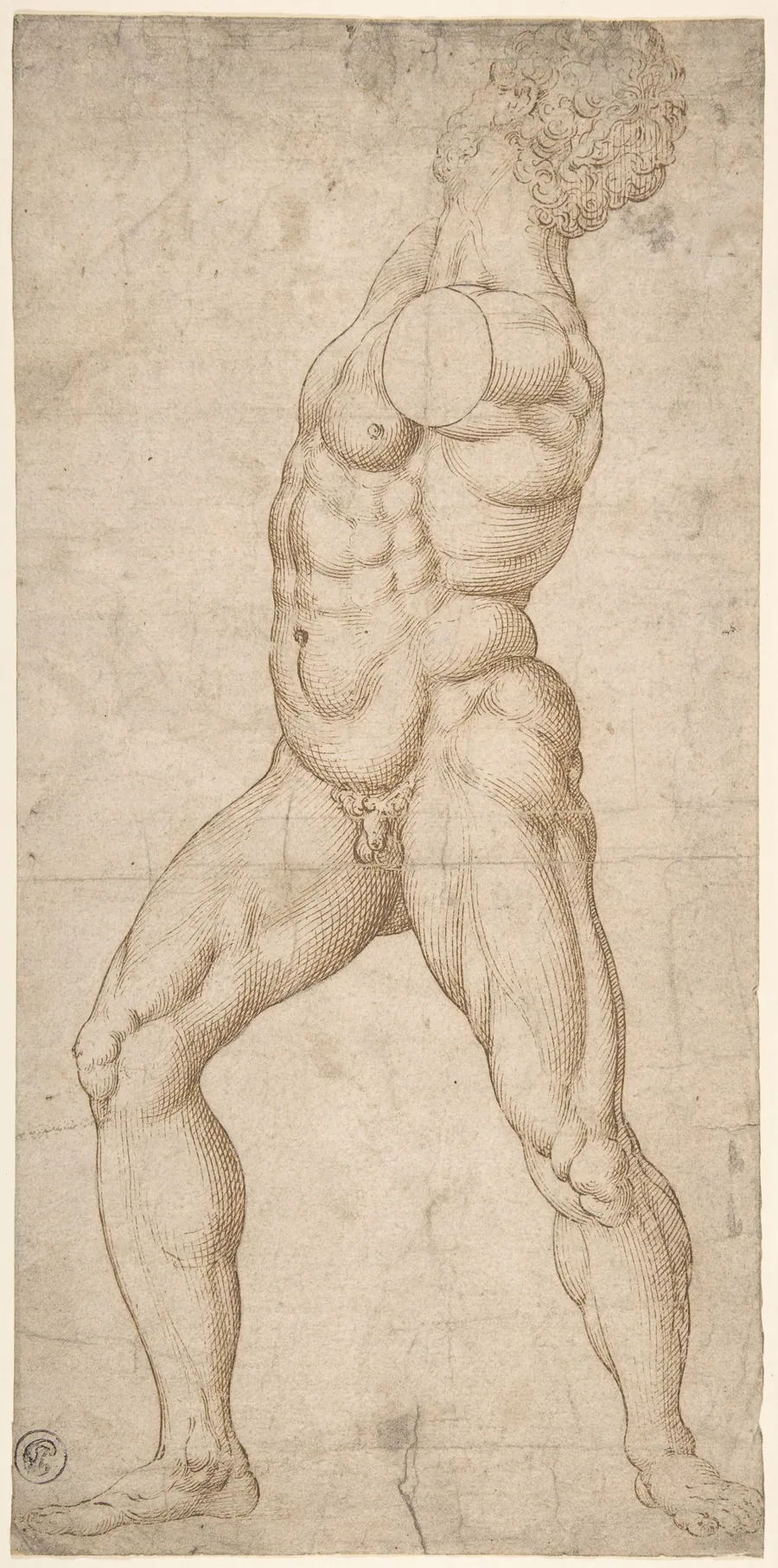 Study of a Standing Male Nude by Anonymous, Netherlandish, 16th century