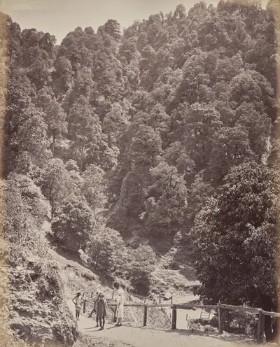 Shimla. View North of Mount Jakko