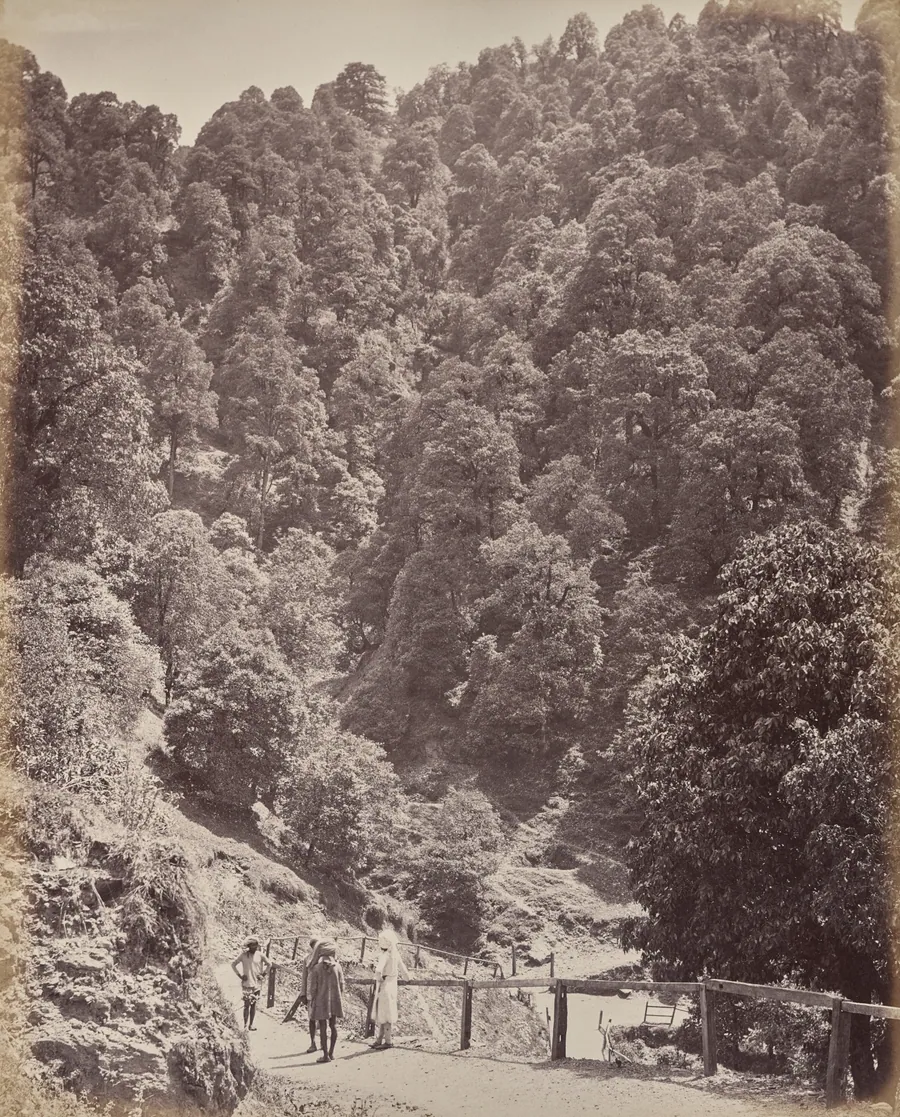 Shimla. View North of Mount Jakko by Samuel Bourne