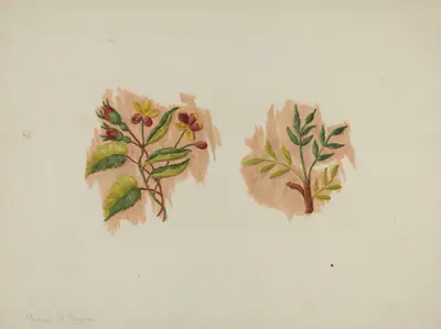 Silk Petticoat (Fragment)