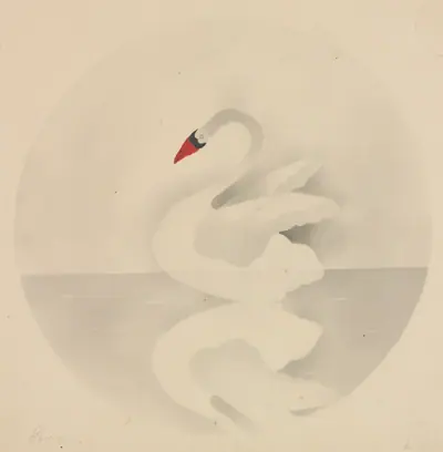 Swan