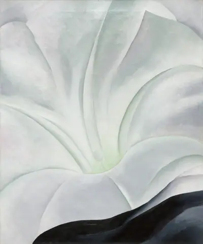 Morning Glory with Black
