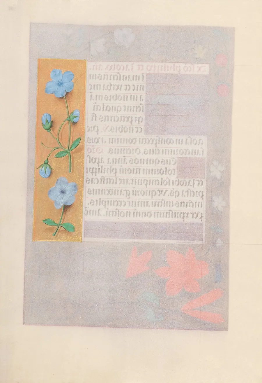 Hours of Queen Isabella the Catholic, Queen of Spain:  Fol. 176v by Master of the First Prayerbook of Maximillian