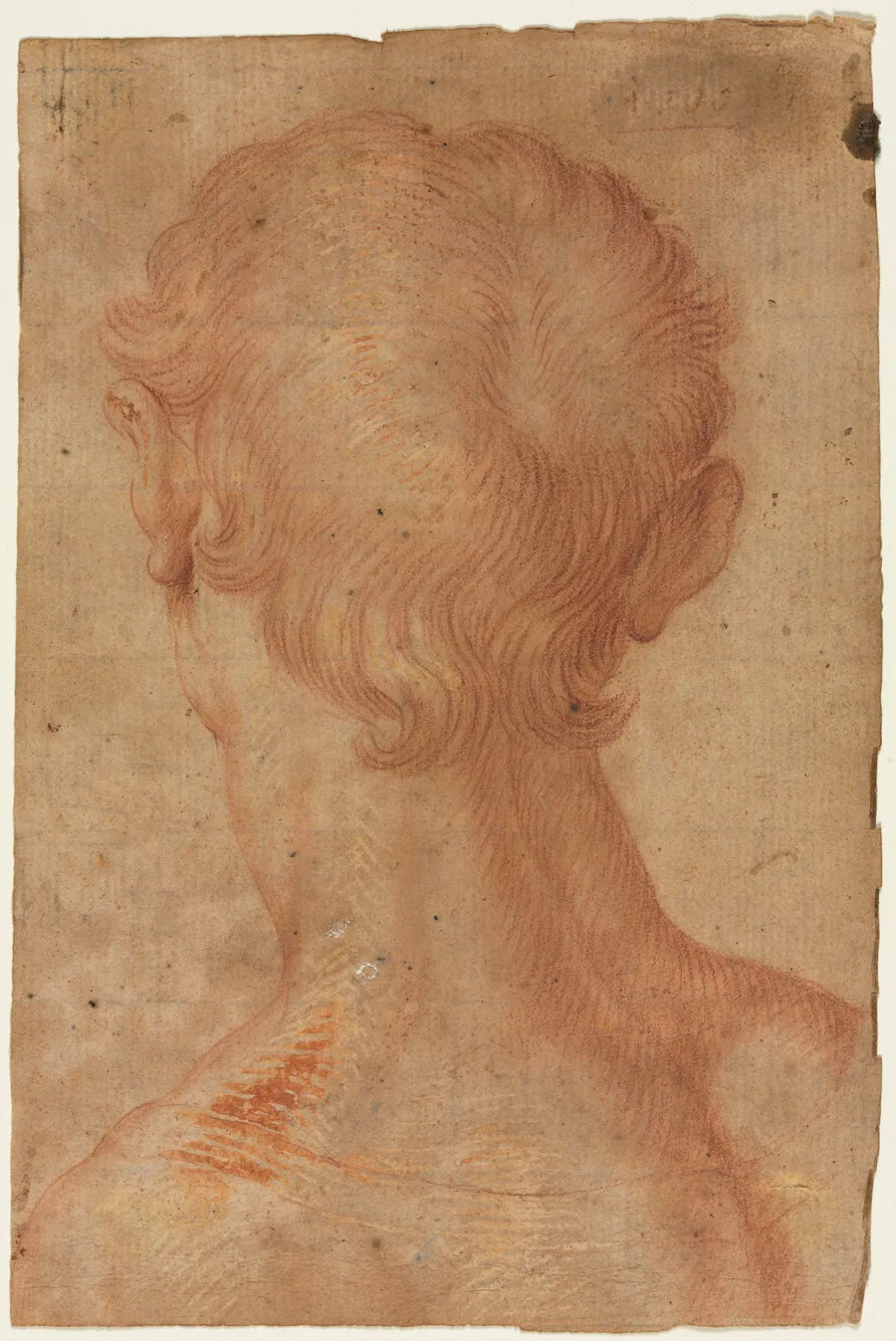 Man's Head from the Back by Agnolo Bronzino
