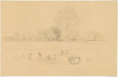Harvesting, New England