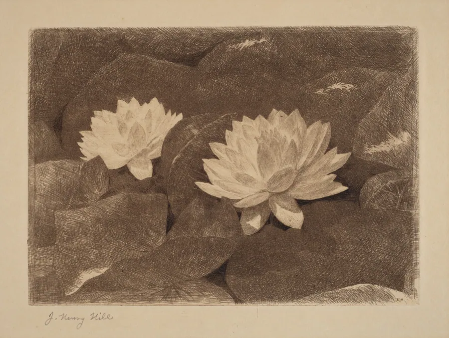 Waterlilies by John Henry Hill