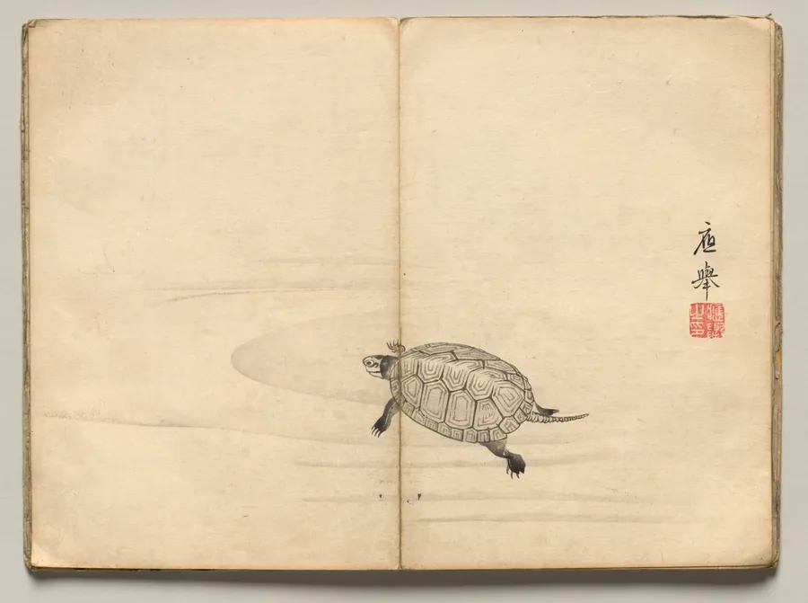 Turtle from Ōkyo Picture Book by Maruyama Ōkyo