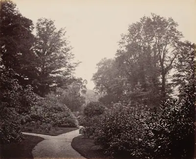 Pathway in Alexandra Park