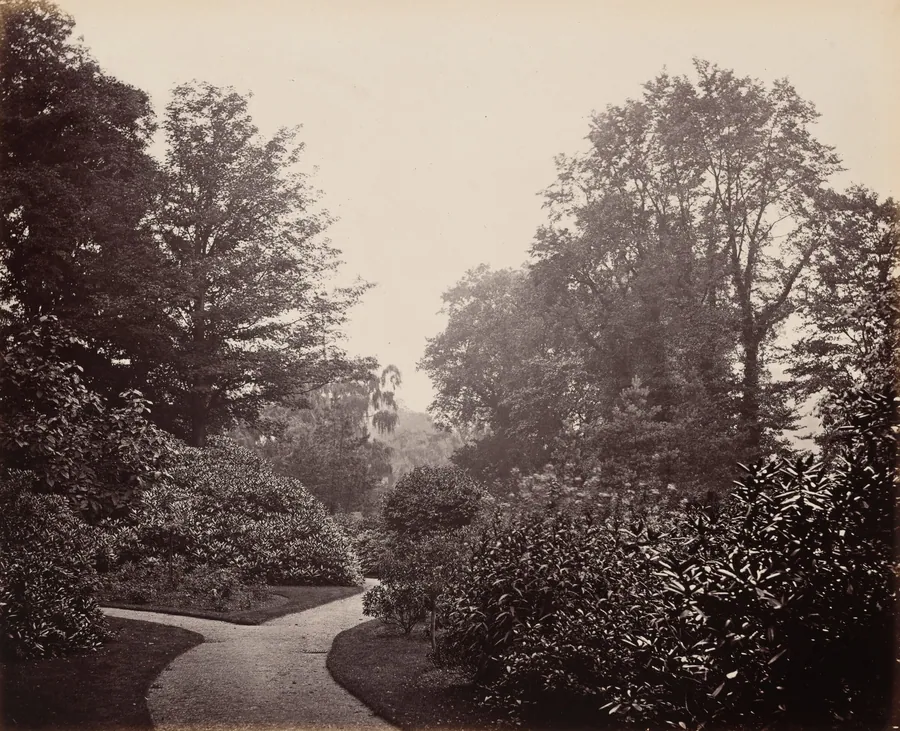 Pathway in Alexandra Park by Francis Bedford