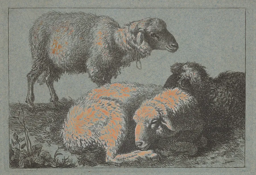 Two Reclining Sheep and One Standing Sheep by Francesco Londonio