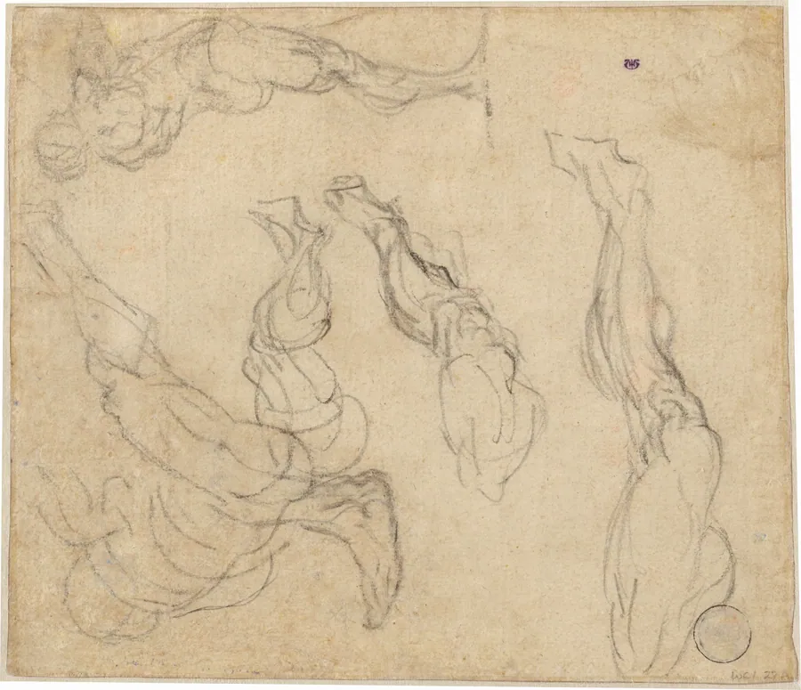 Head of a Boy (verso) by Giulio Campagnola