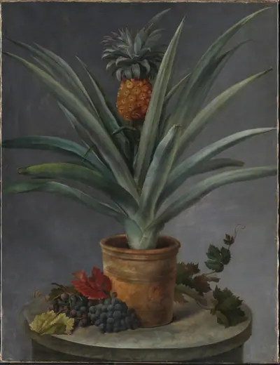 En ananas i urtepotte og druer på et stenbord