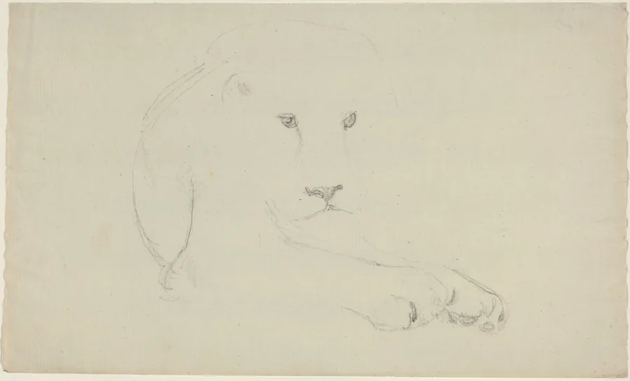Lion by John Flaxman
