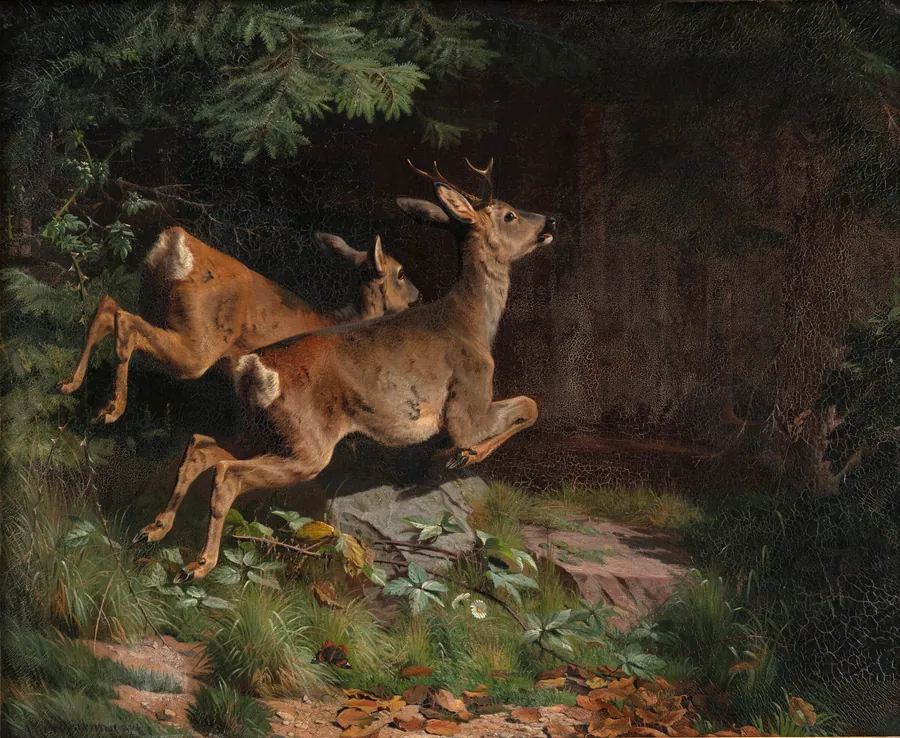 Rådyr by A. Mackeprang
