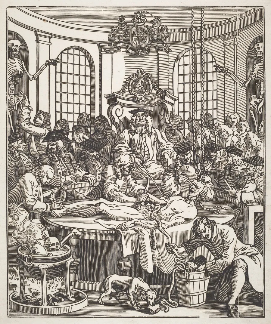The Reward of Cruelty by John Bell
