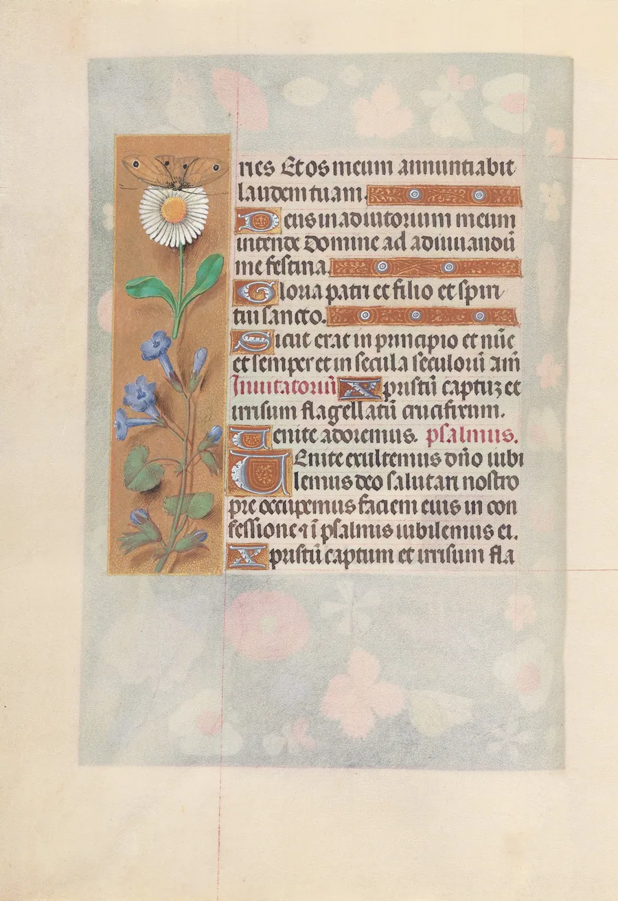Hours of Queen Isabella the Catholic, Queen of Spain:  Fol. 50v by Master of the First Prayerbook of Maximillian