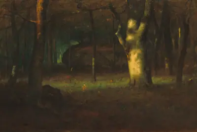 Sunset in the Woods