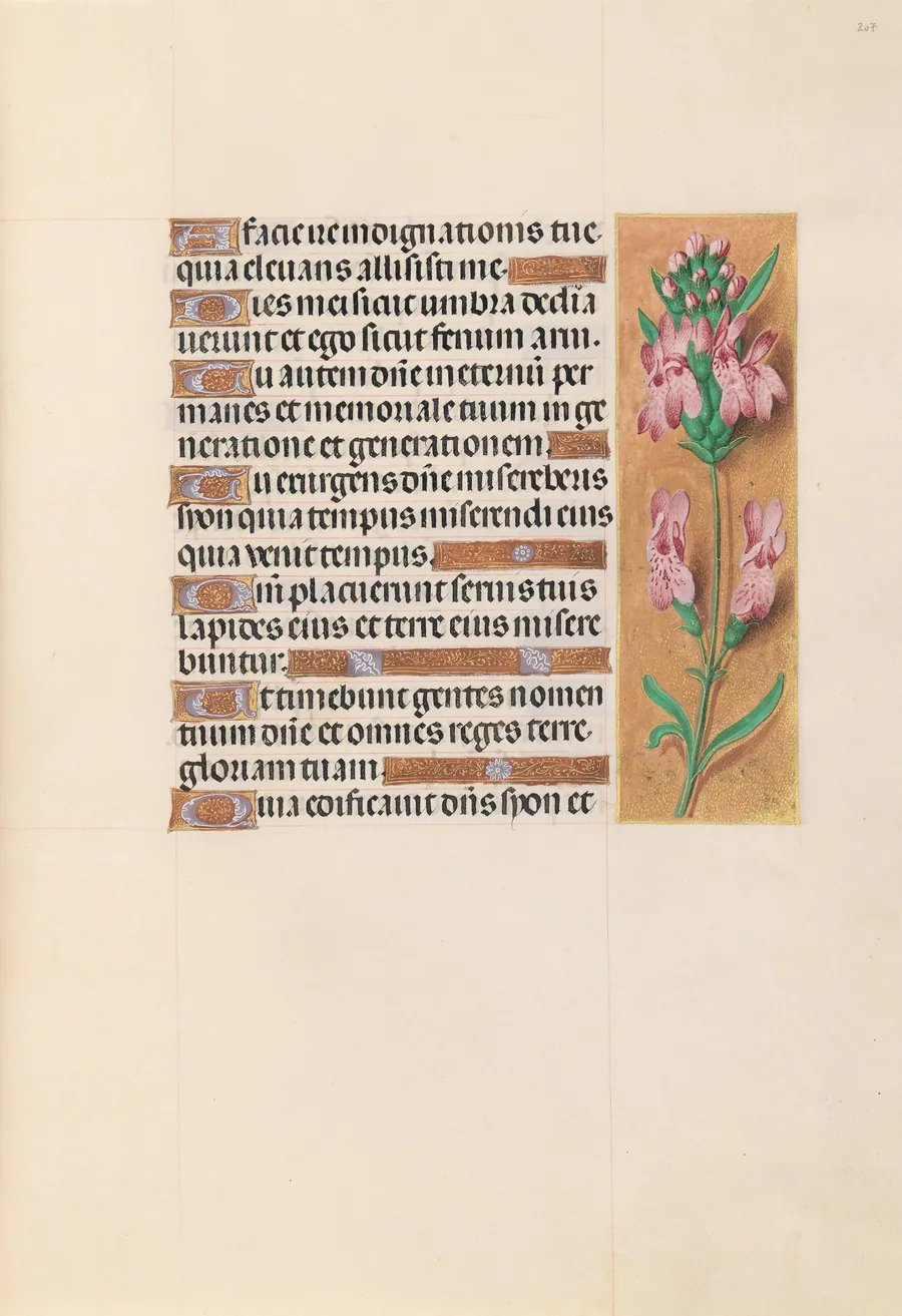 Hours of Queen Isabella the Catholic, Queen of Spain:  Fol. 207r by Master of the First Prayerbook of Maximillian
