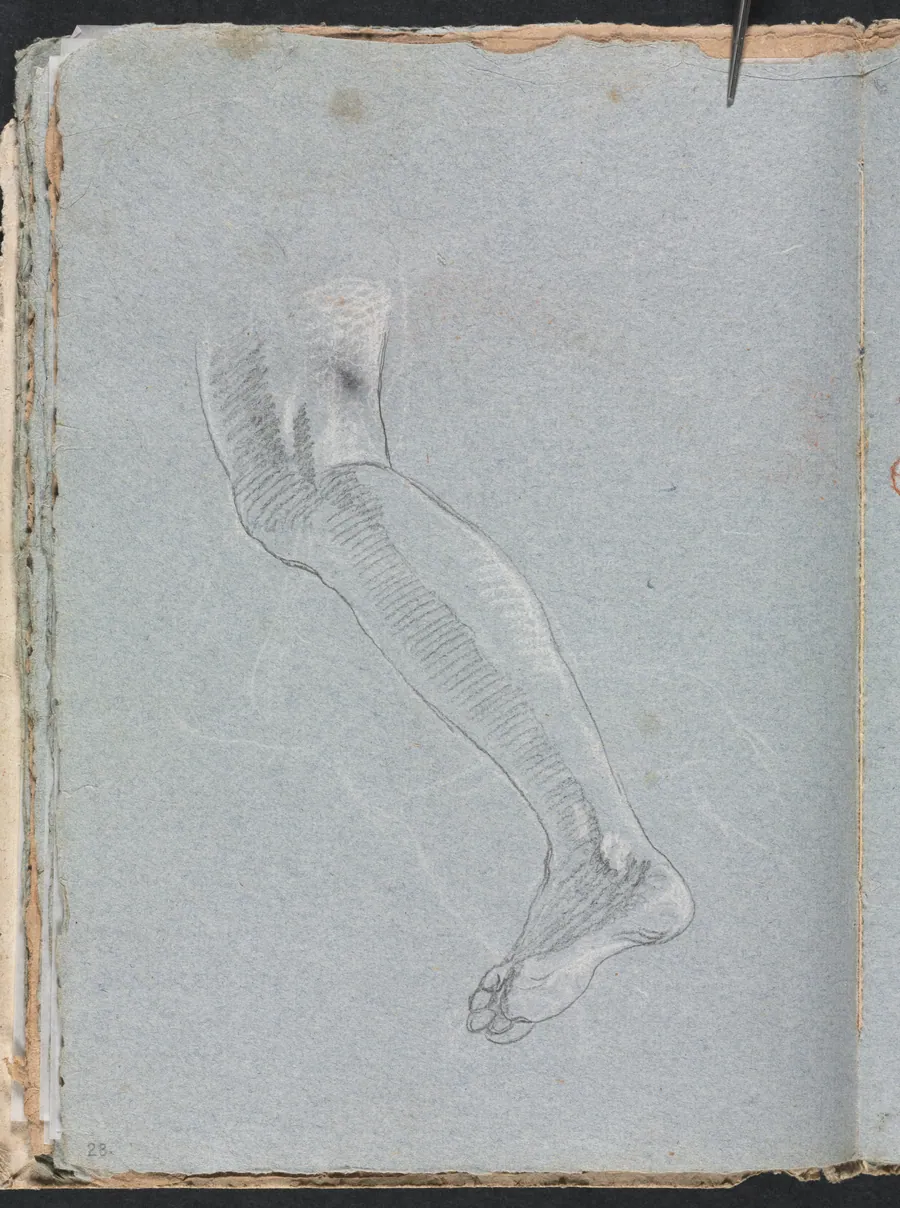 Verona Sketchbook: Left leg (page 28) by Francesco Lorenzi