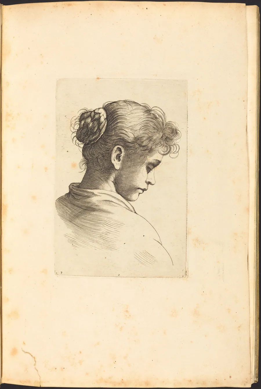 Print from Drawing Book by Luca Ciamberlano