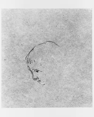 Head of a Boy