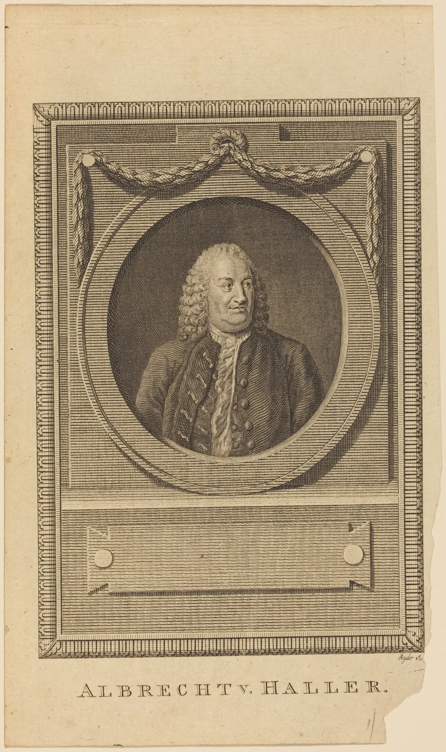 Albrecht V. Haller by Thomas Ryder