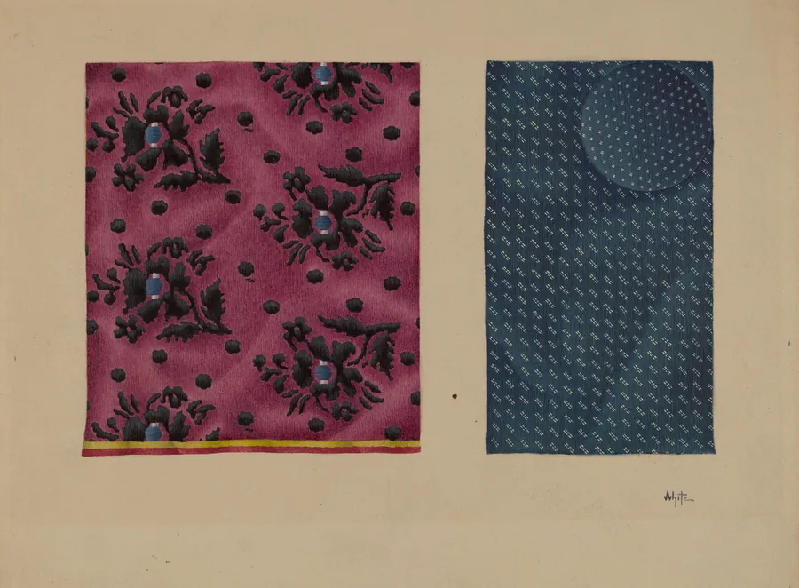 Economy Samples of Silk by Edward White