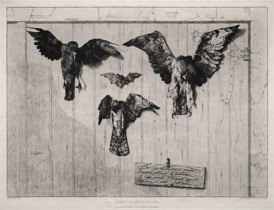 The Top of the Swing-Door by Félix Bracquemond