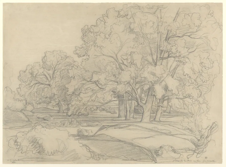Plateau de la Mare aux Fées. Forest of Fontainebleau by Théodore Caruelle d'Aligny