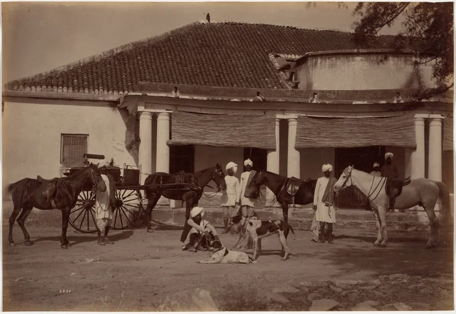 Mr. Brown's Horses, Jhansi by Raja Deen Dayal