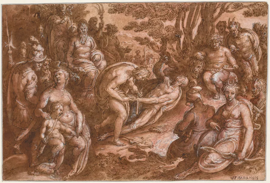 The Flaying of Marsyas by Jan van der Straet, called Johannes Stradanus