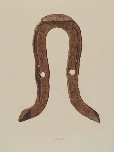 Skid Shoe for Horse