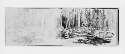 Footbridge in Forest (from Sketchbook X)