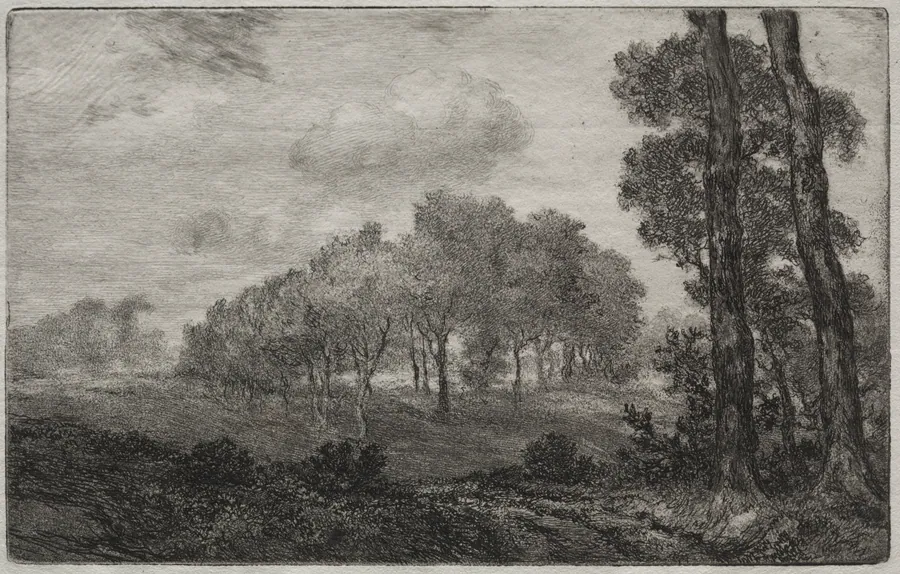 Landscape, after Français by Félix Bracquemond