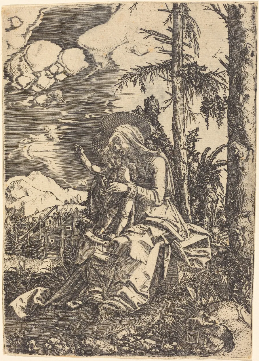 The Virgin with the Blessing Child in a Landscape by Albrecht Altdorfer