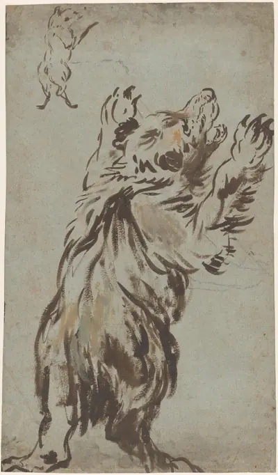 Studies of a Bear