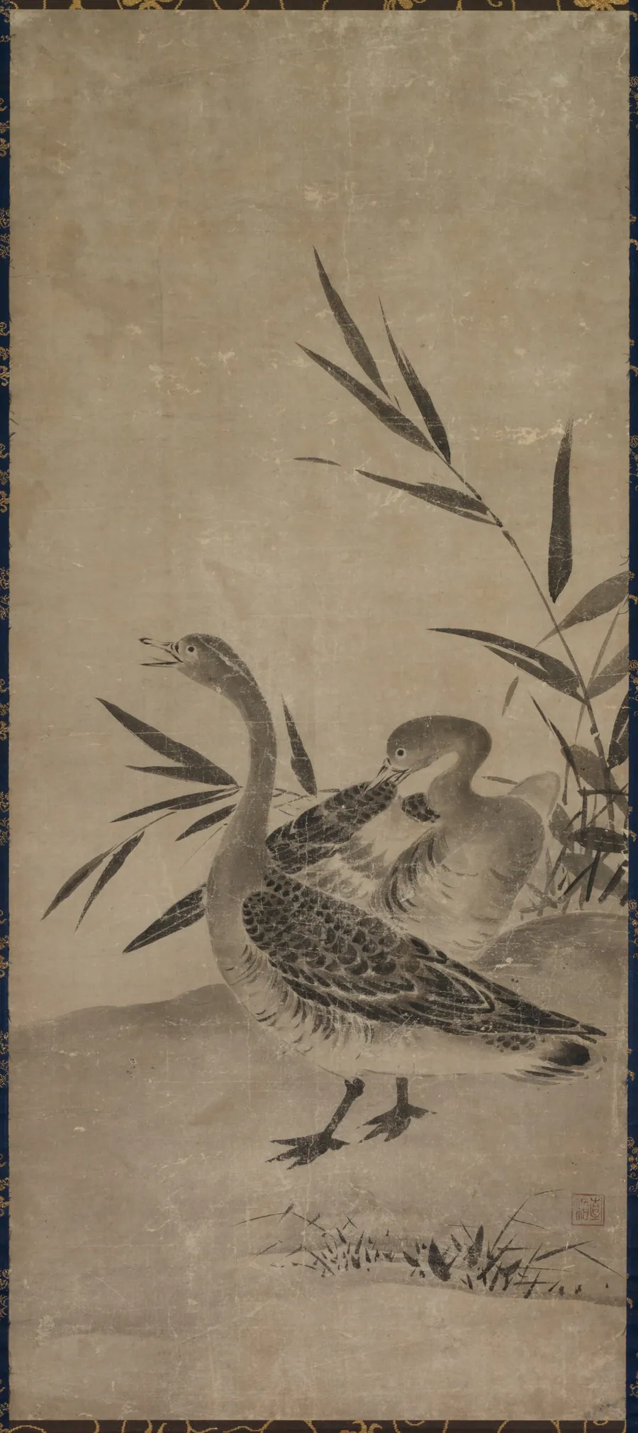 Geese