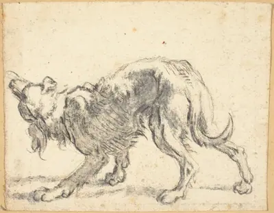A Dog