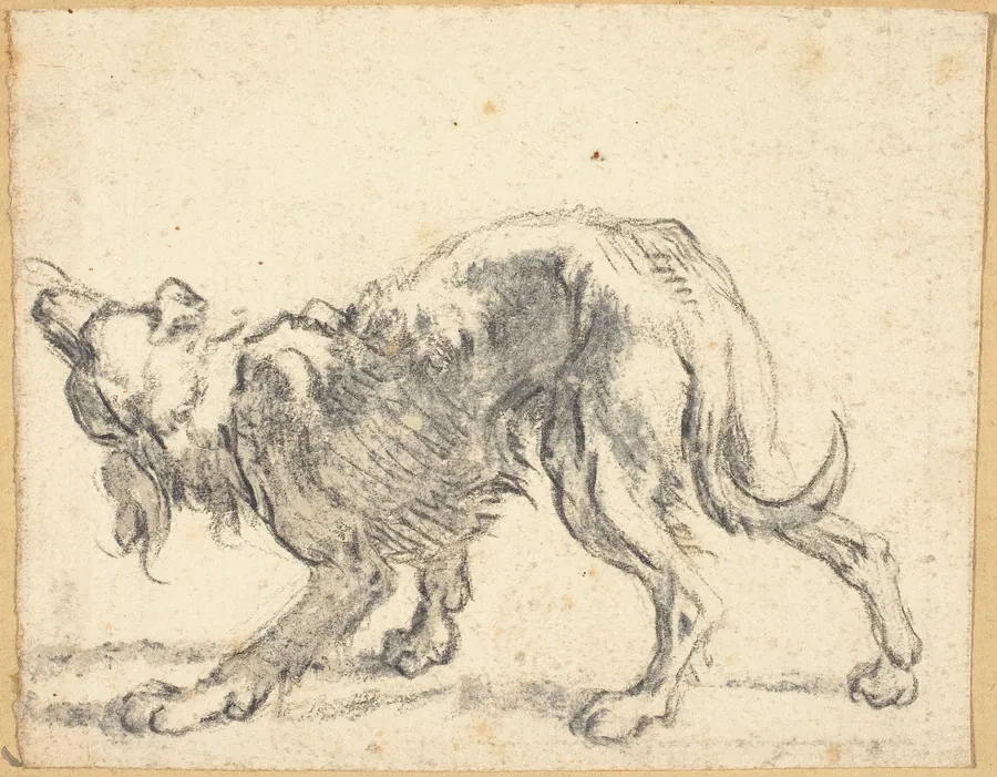 A Dog by Cornelis Saftleven
