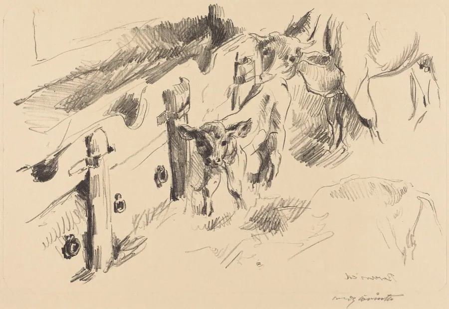 Kälber (Calves) by Lovis Corinth