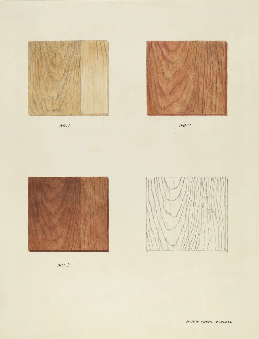 Wood Grain (Demo.) by Harry Mann Waddell